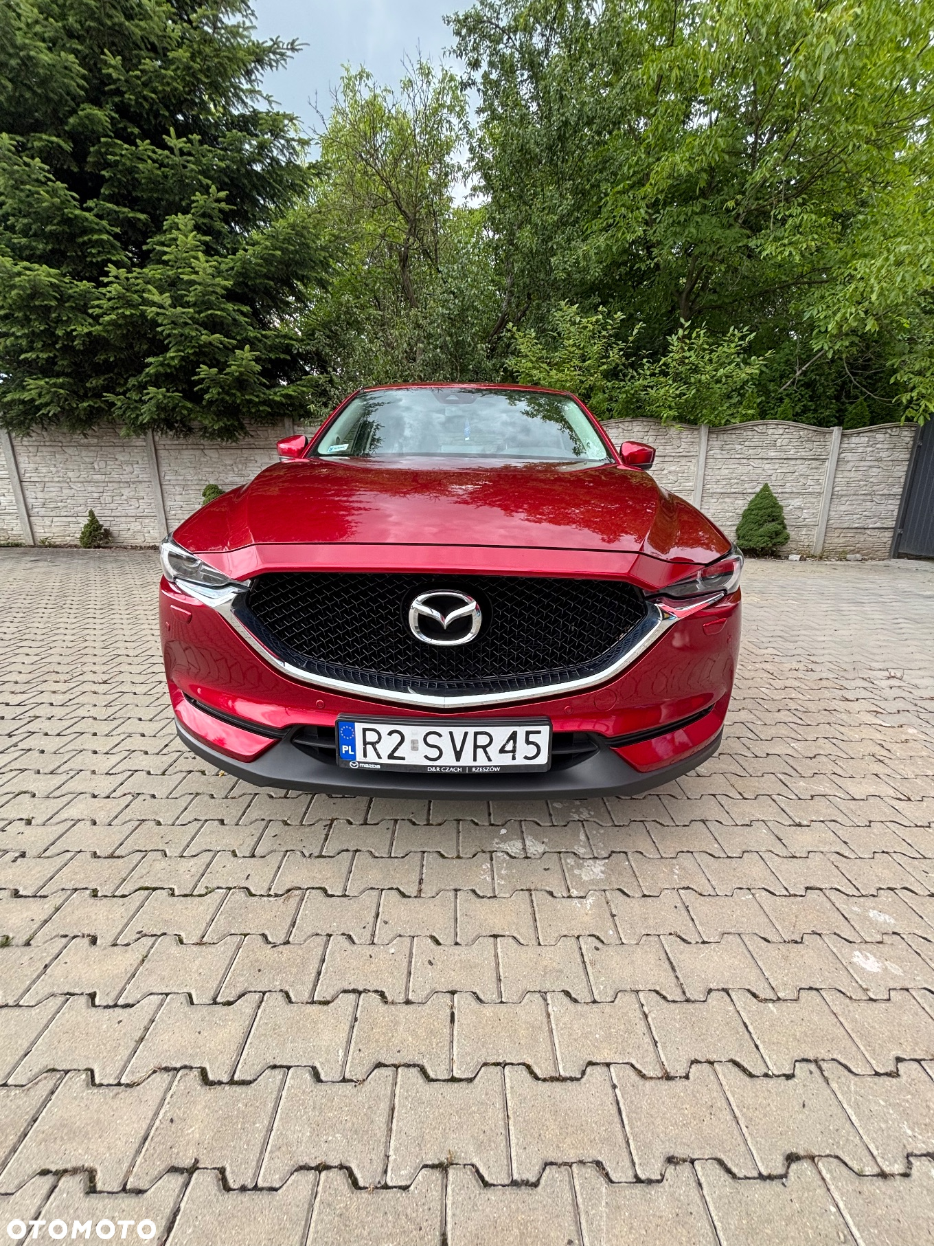 Mazda CX-5 2.0 Skyenergy 2WD - 2