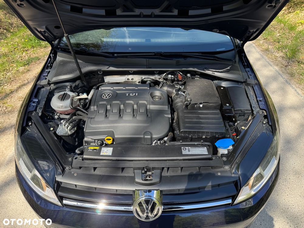 Volkswagen Golf 2.0 TDI BMT Highline EU6 - 24
