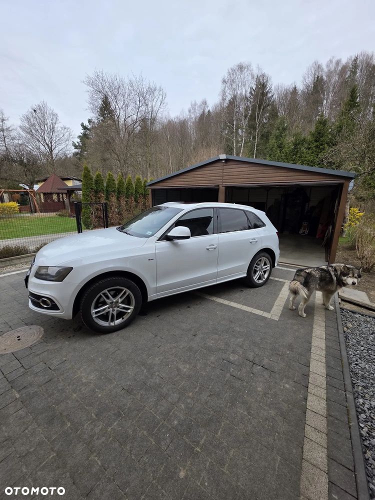 Audi Q5 - 19
