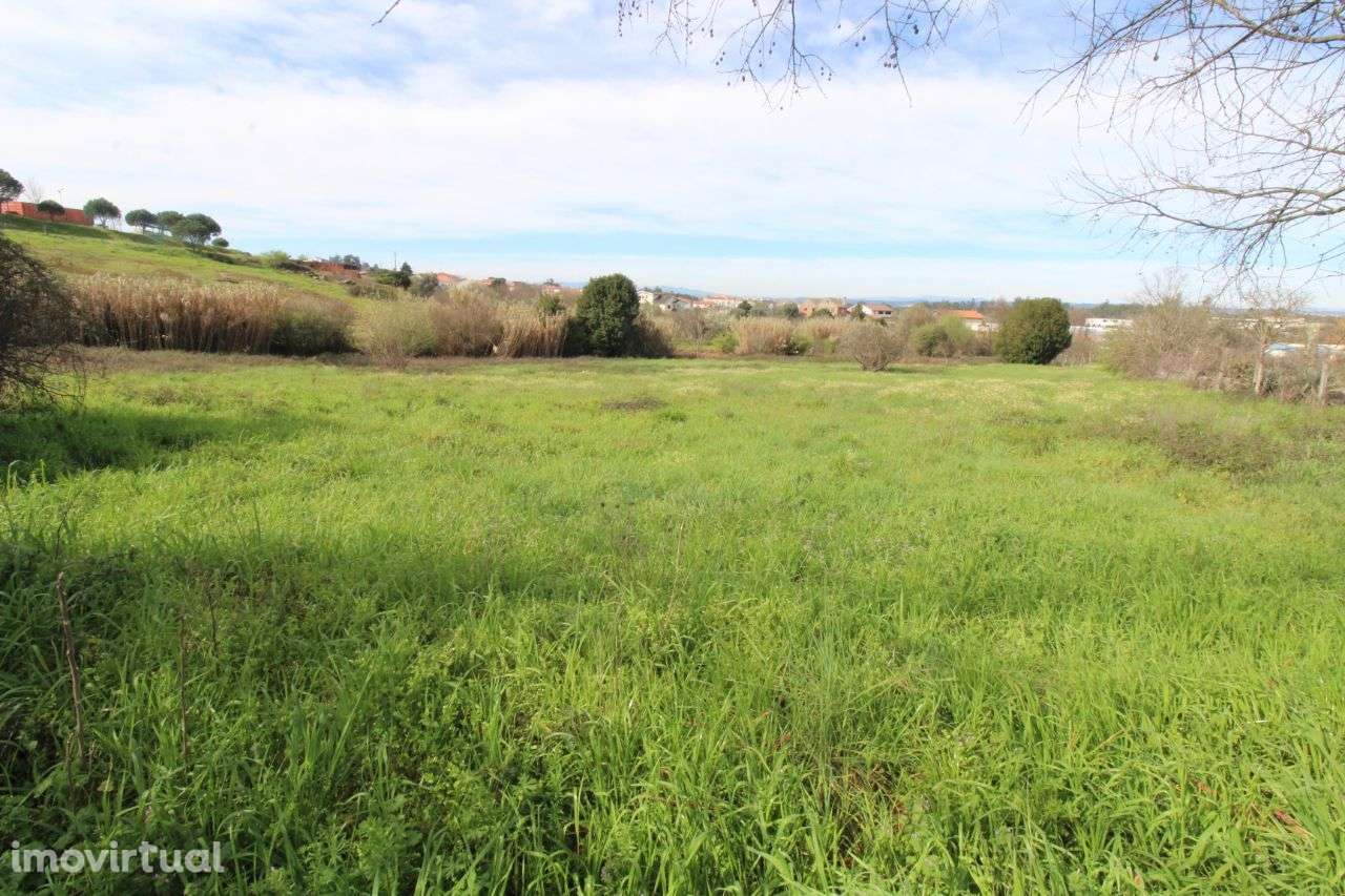 Fantástico Terreno Para Construção - Grande imagem: 3/6