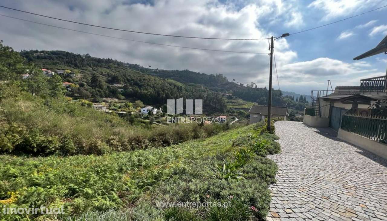 Venda Terreno, Santa Leocádia e Mesquinhata, Baião - Grande imagem: 4/30