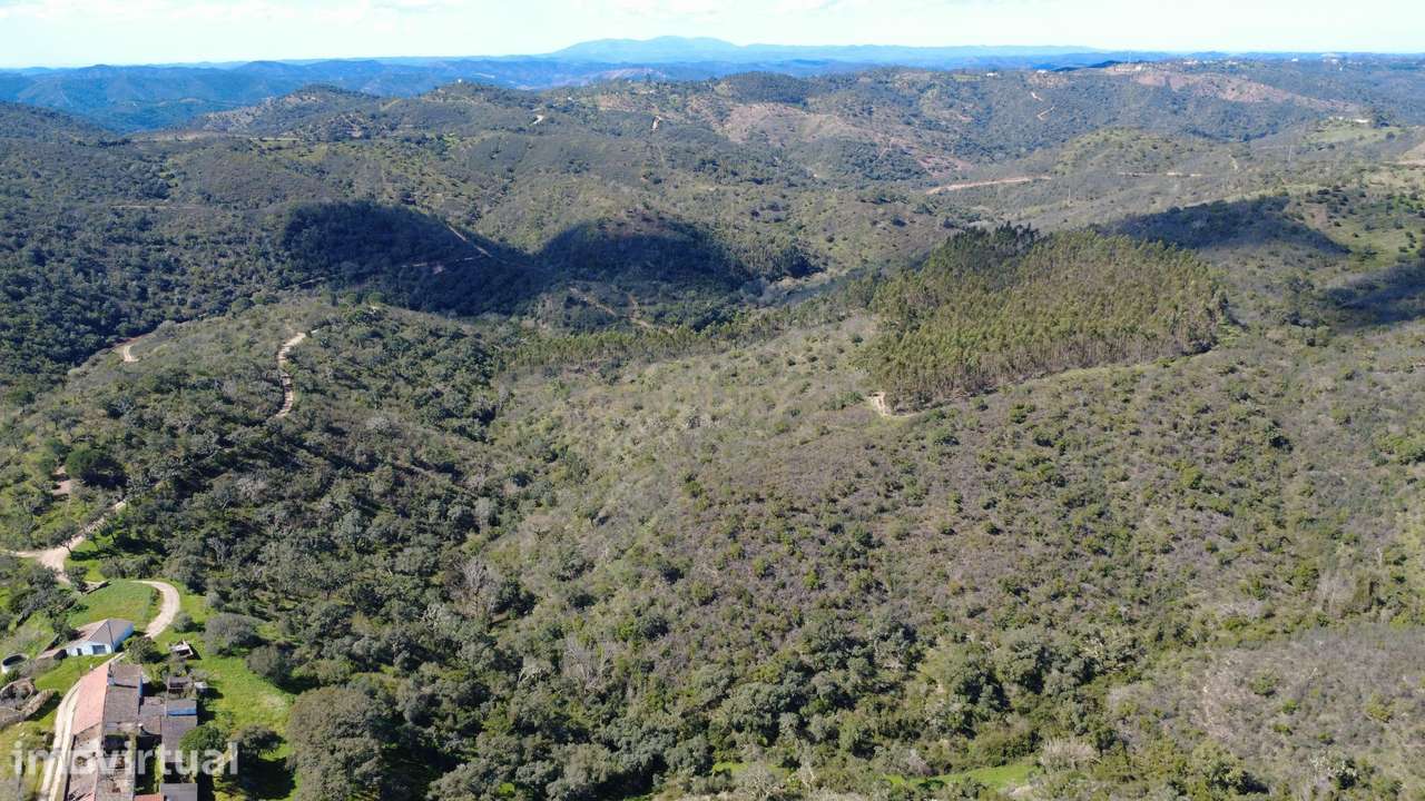 Terreno Rústico com 27885m2 - São Barnabé - Grande imagem: 4/11