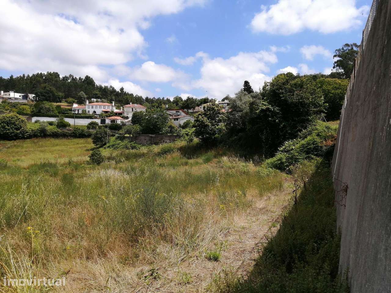 Terreno Urbanizável com 5.361 m2 em Pinheiro da Bemposta - Grande imagem: 4/14