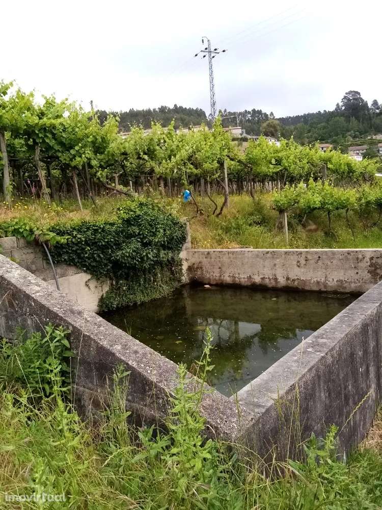 Terreno com 3.662 m² em Sande, Marco de Canaveses - Grande imagem: 2/14