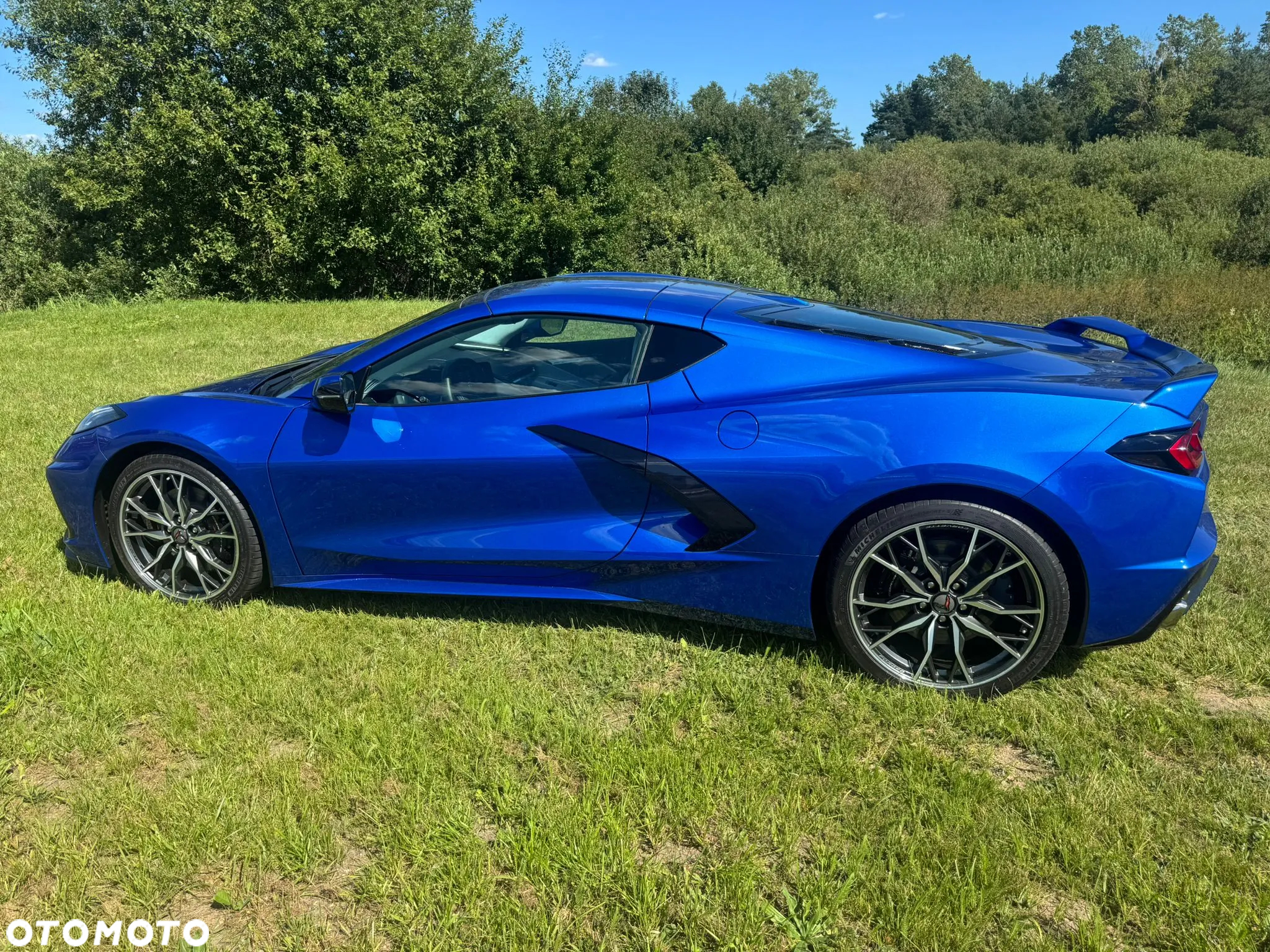 Chevrolet Corvette - 14