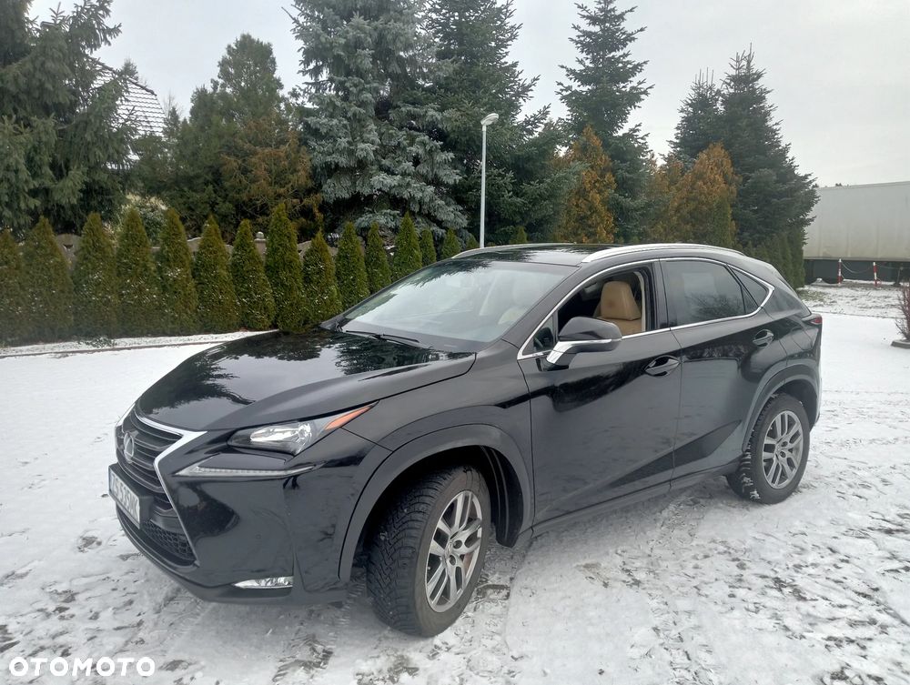 Lexus NX - 15