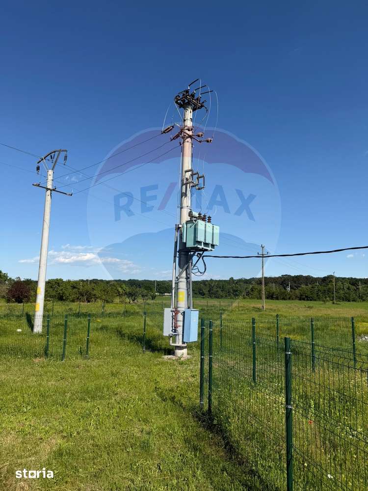 4 HALE INDUSTRIALE INDIVIDUALE SUPRAFATA TOTALA 1.407 mp, Acces DN 1 - Imagine principală: 3/20