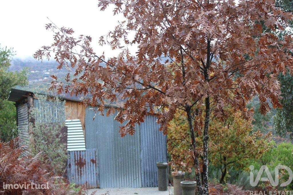 Terreno Agrícola em Sandomil - Grande imagem: 4/7