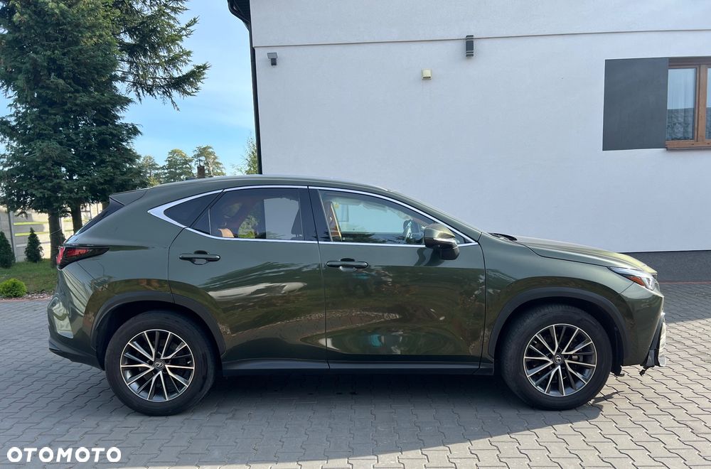 Lexus NX 350h Omotenashi AWD - 2