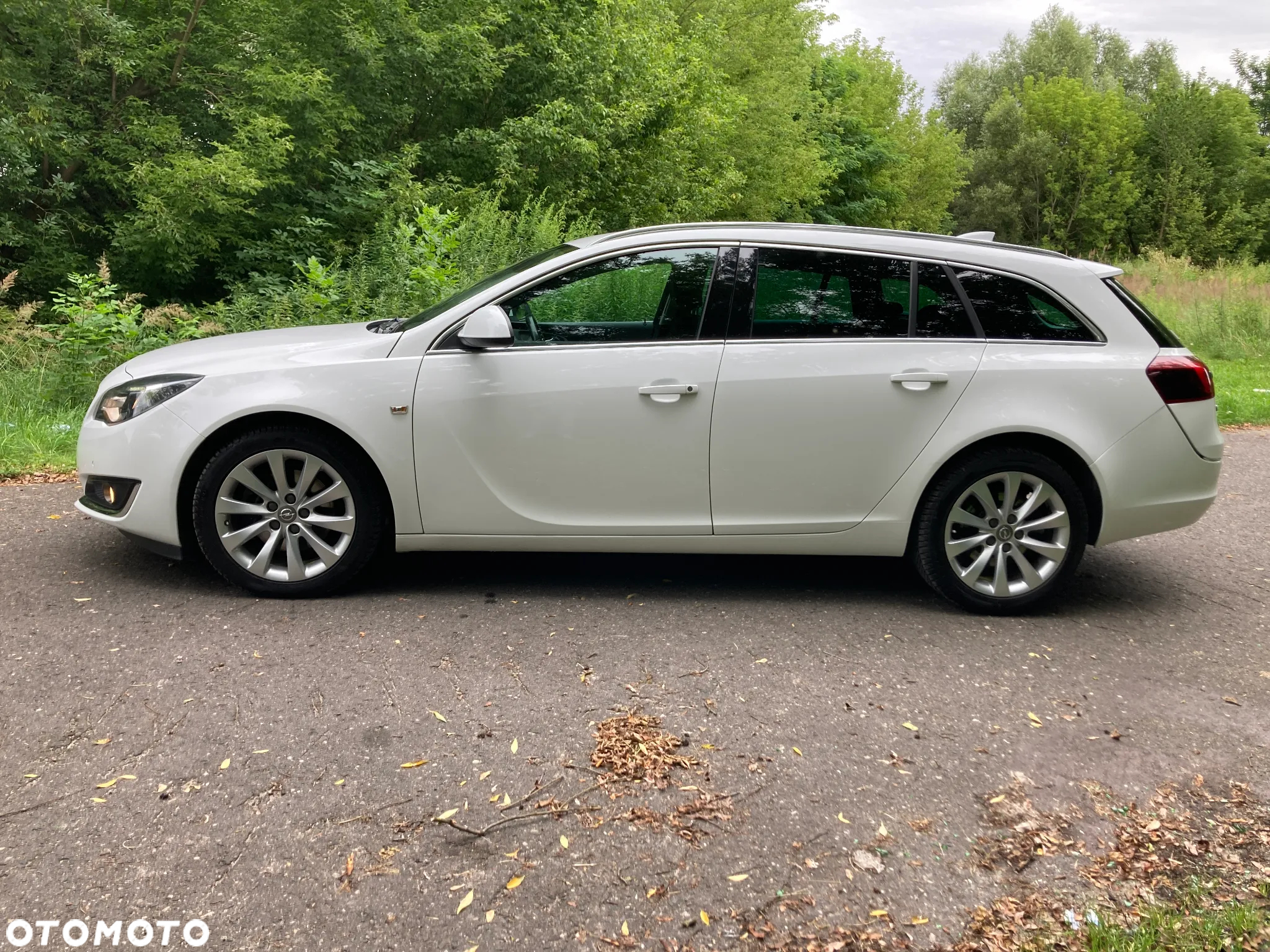 Opel Insignia 2.0 CDTI Exclusive S&S - 17