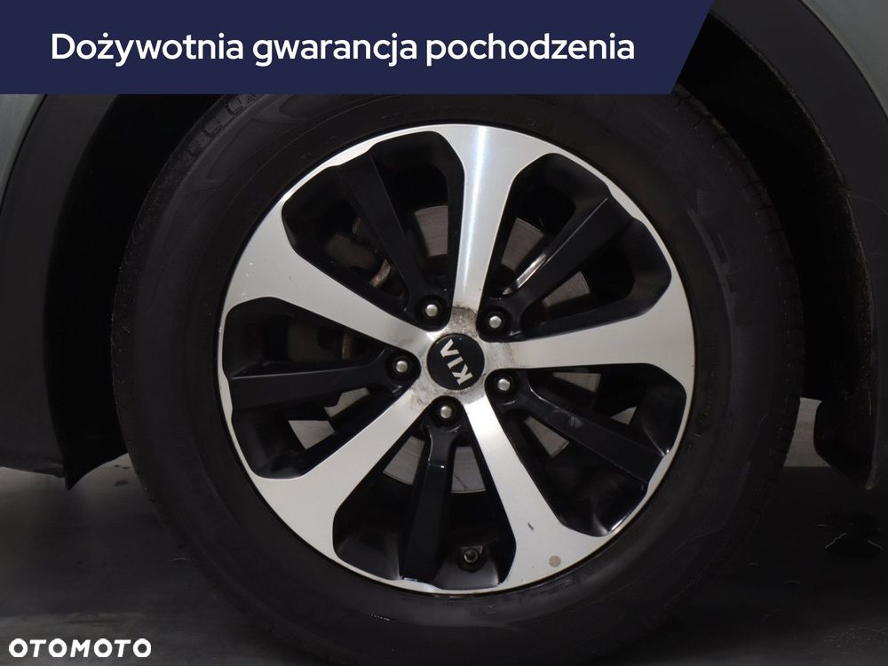 Kia Sorento - 17