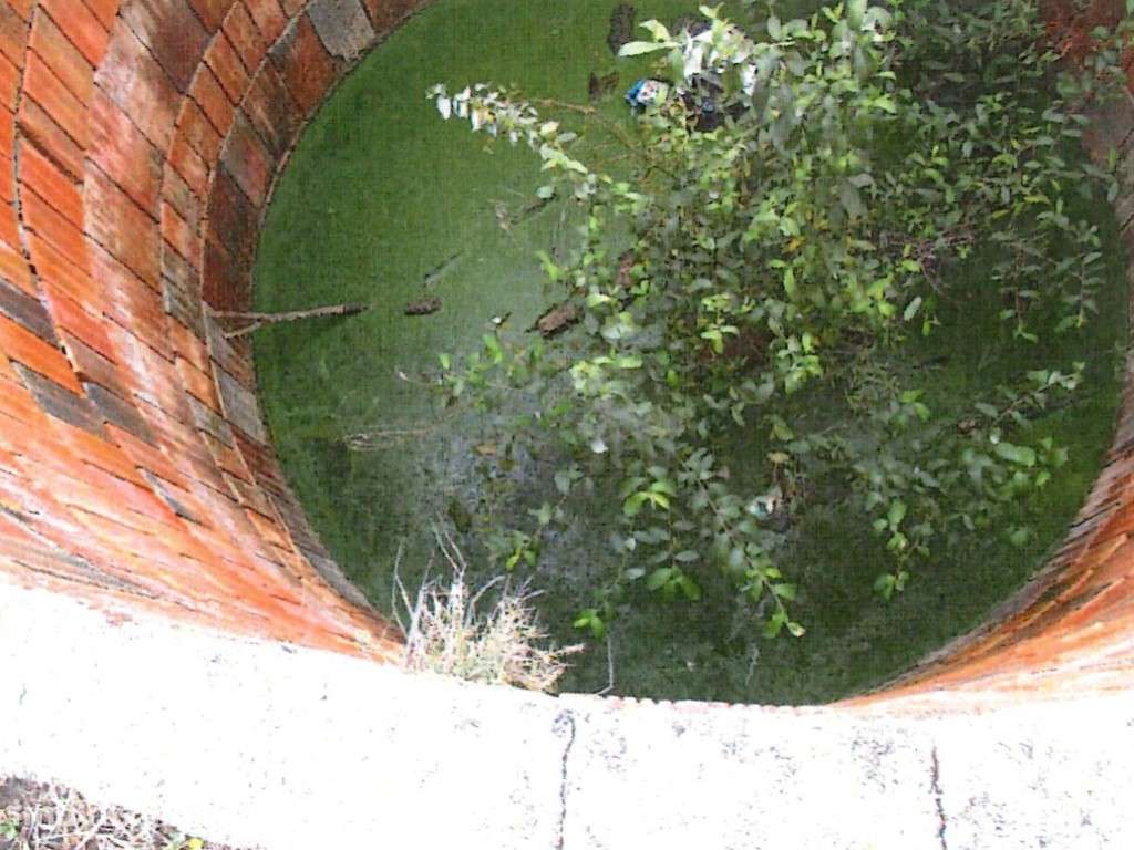 Terreno urbanizável, Poceirão, Palmela - Grande imagem: 5/11