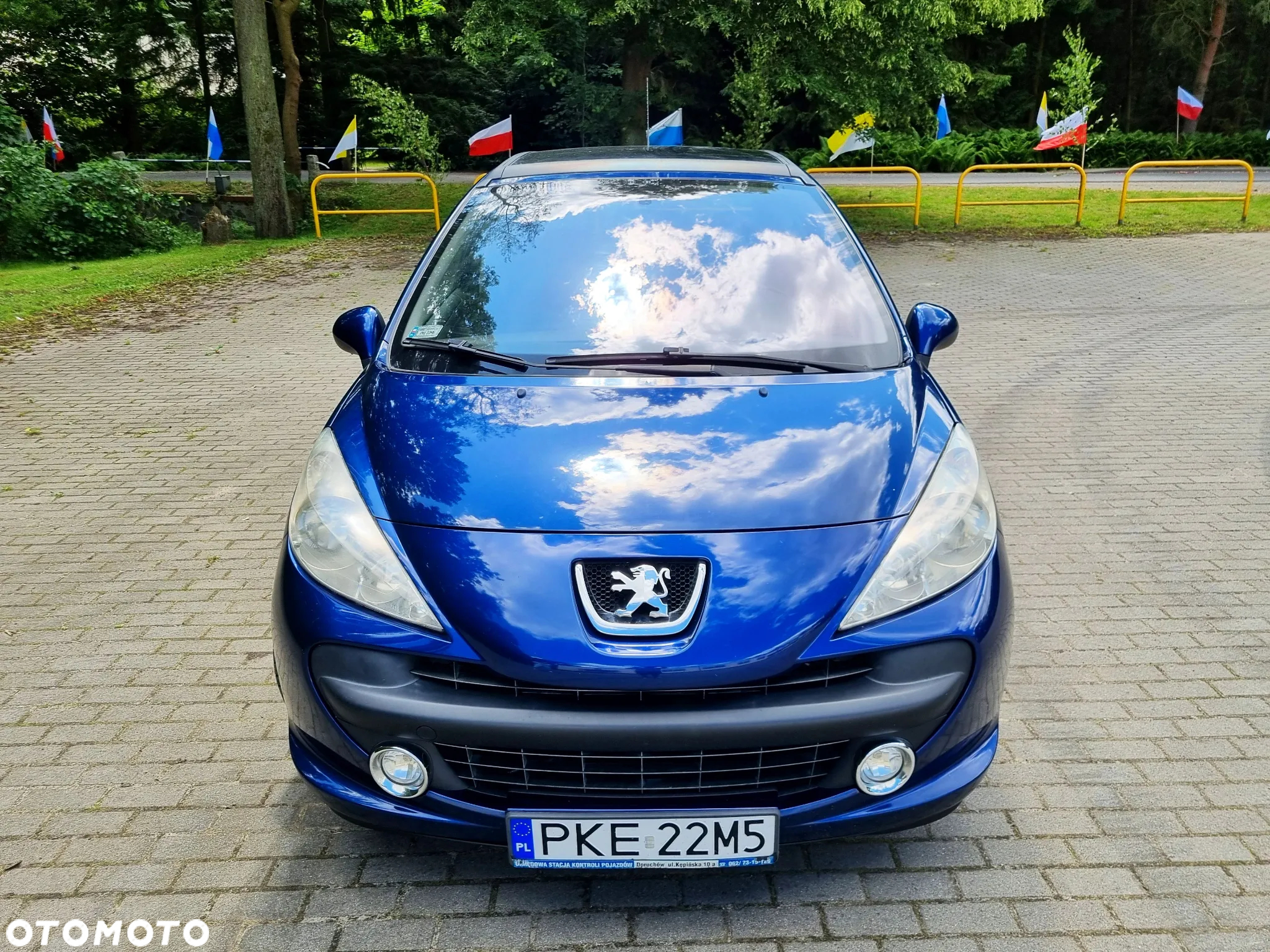 Peugeot 207 90 HDi FAP (Blue Lion) Urban Move - 8
