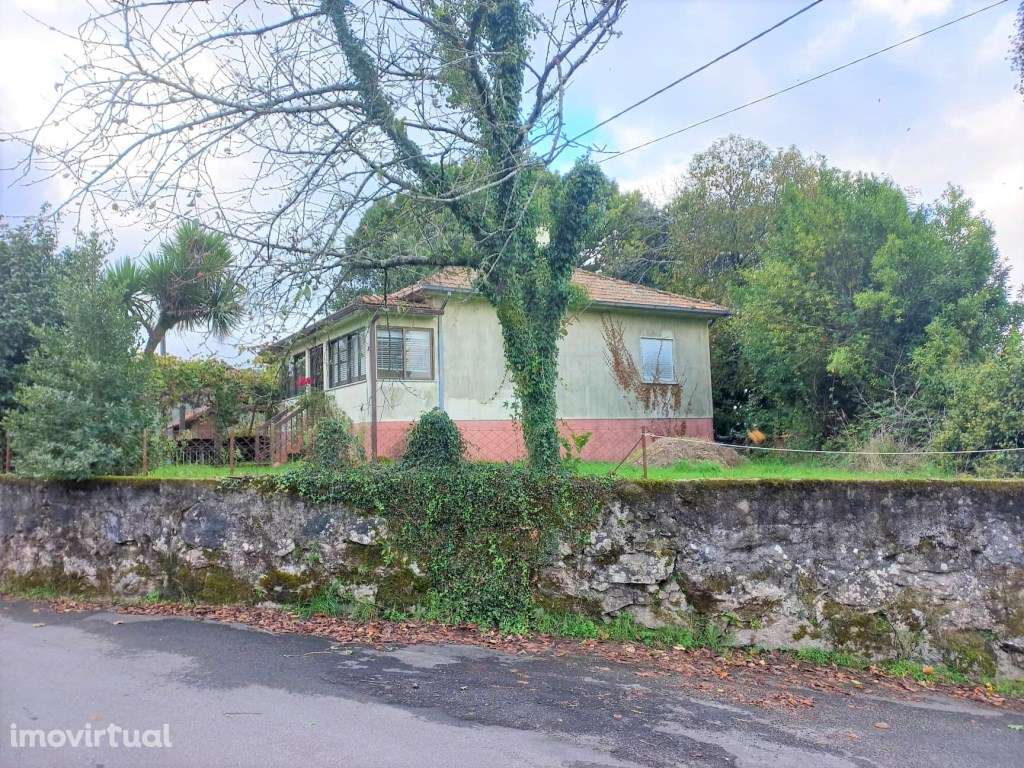 Moradia T3 em Bico - Grande imagem: 4/19