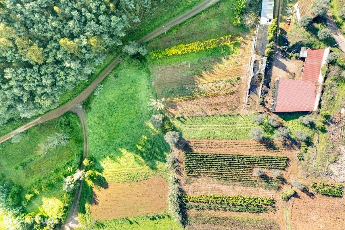 Terreno  para venda - Grande imagem: 2/15