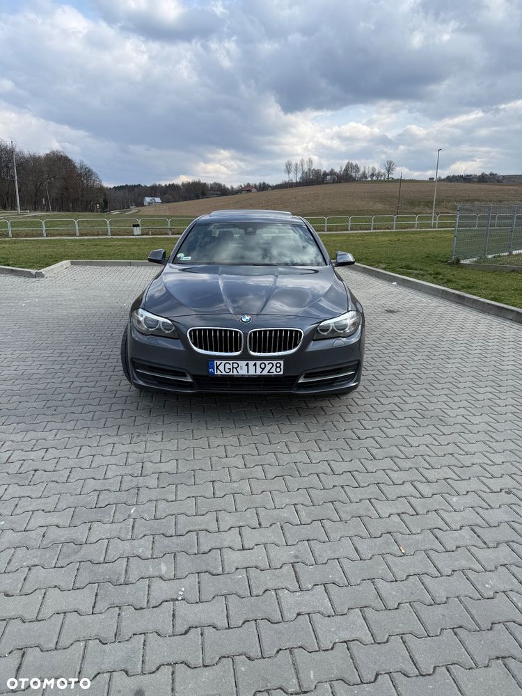 BMW Seria 5 520d Efficient Dynamics - 2