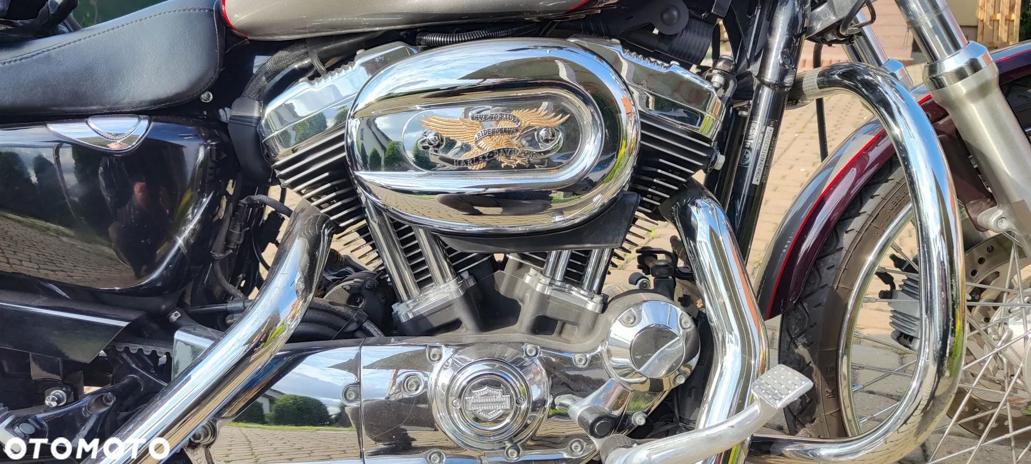 Harley-Davidson Sportster Custom 1200C - 5