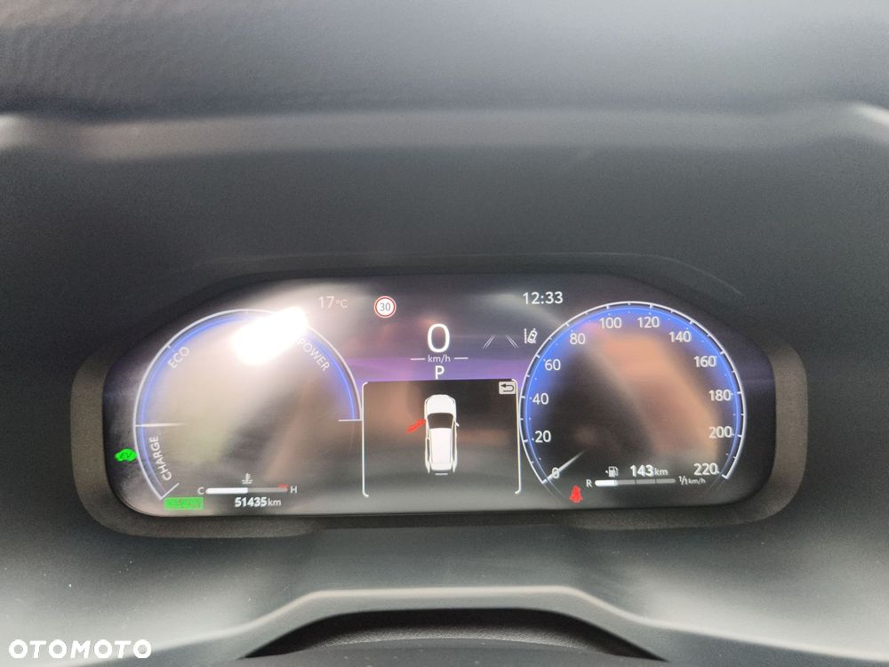 Toyota RAV4 2.5 Hybrid Selection 4x2 - 18