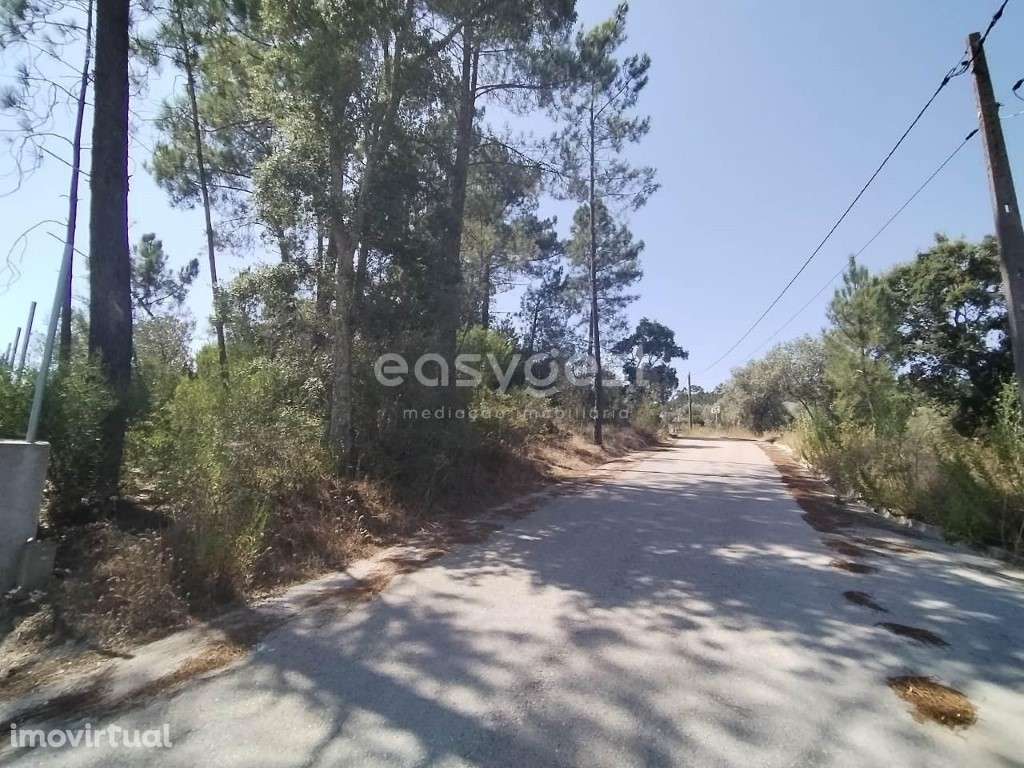Terreno inserido na malha urbana e a cerca de 50 metros do Rio Zêzere - Grande imagem: 2/13