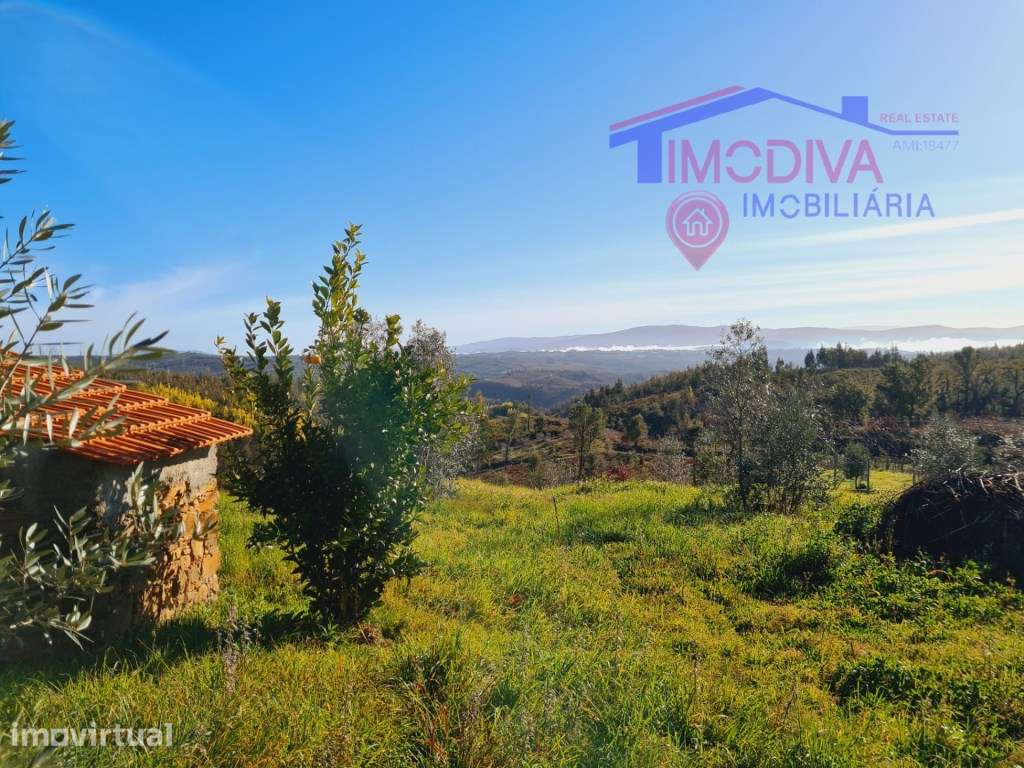 Terreno com ruína e projeto de construção aprovado - Grande imagem: 4/12