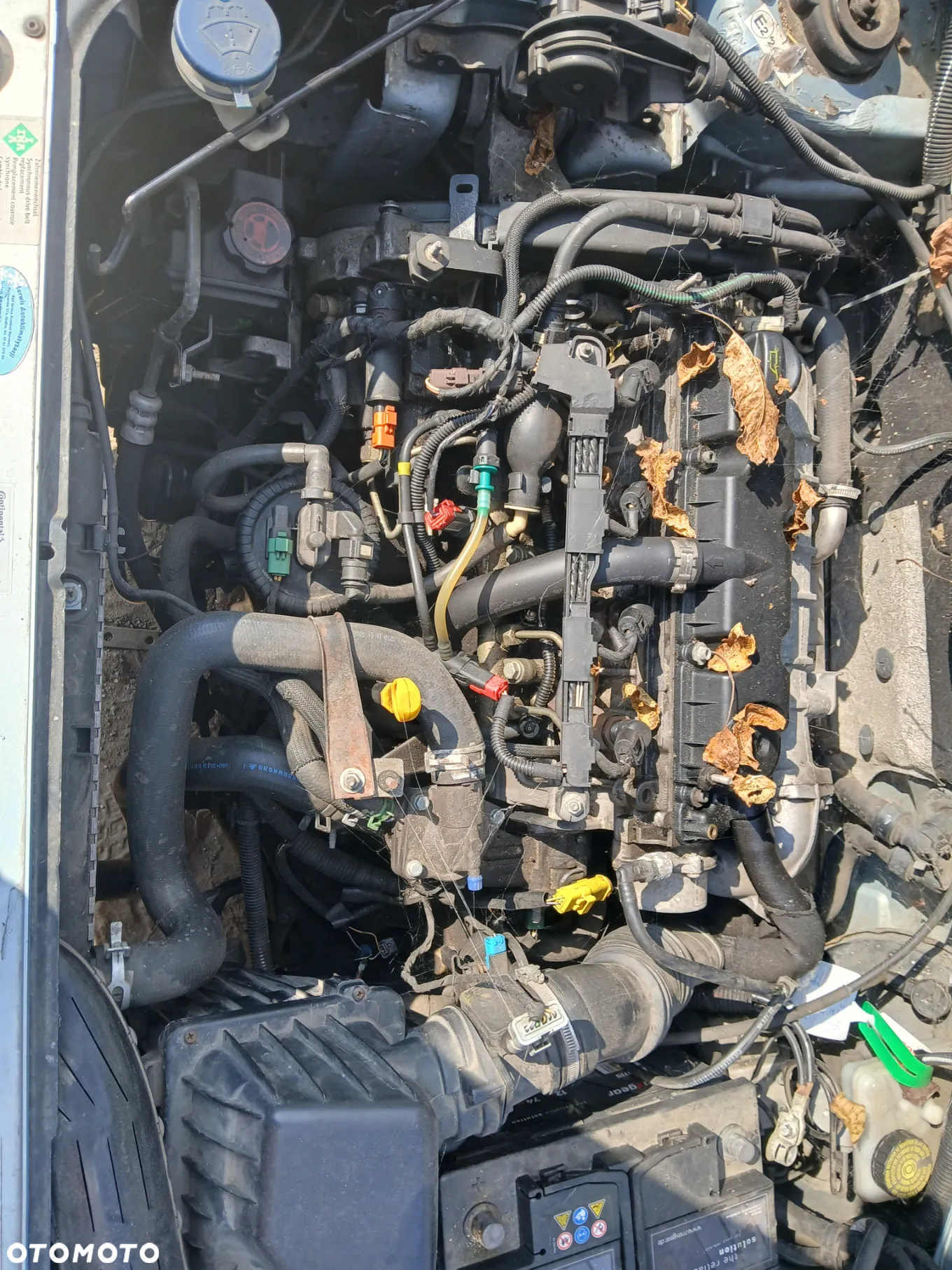 CITROEN BERLINGO I LIFT EYLC MULTISPACE silnik 2.0 HDI 8V 90 KM DW10TD skrzynia 20DM50 napęd - 3