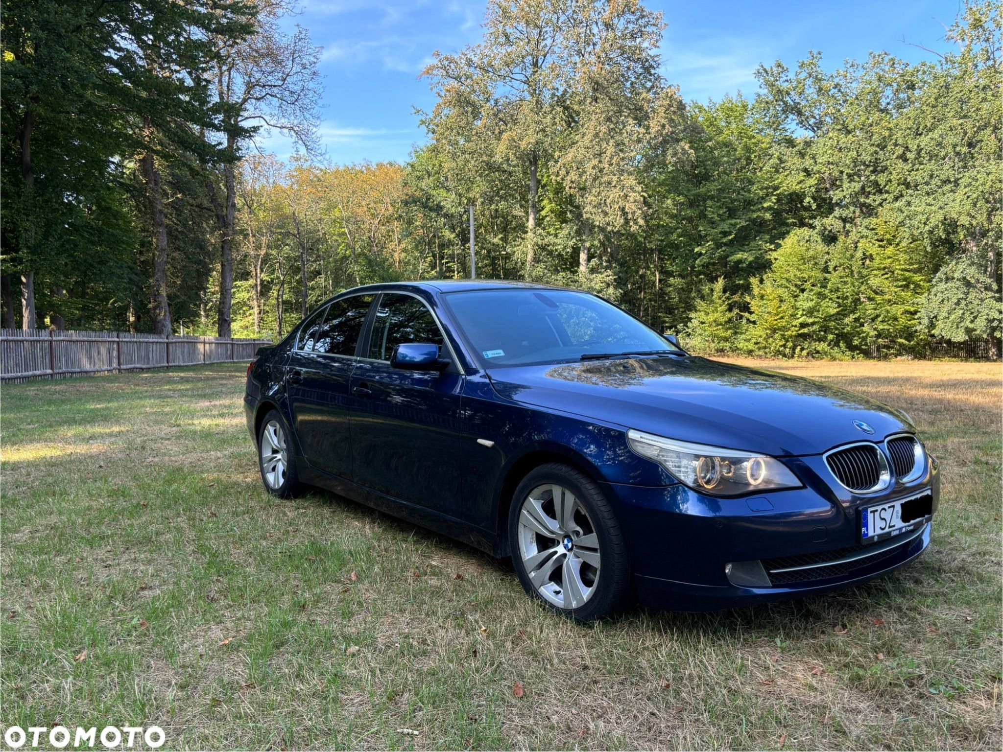 BMW Seria 5 - 1
