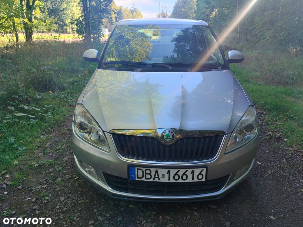Skoda Fabia 2010 photo 3