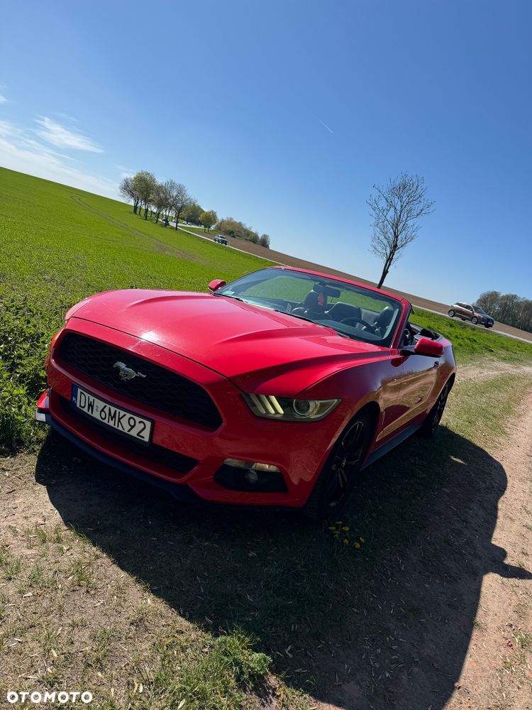 Ford Mustang Cabrio 2.3 Eco Boost - 14