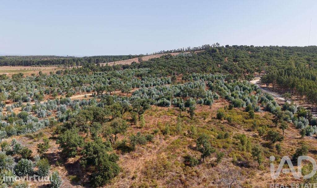 Terreno em Alpiarça de 462520,00 m2 - Grande imagem: 2/14