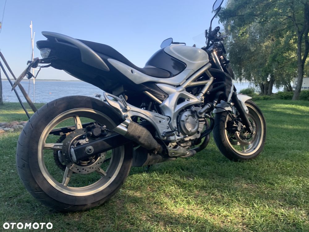 Suzuki Gladius - 5