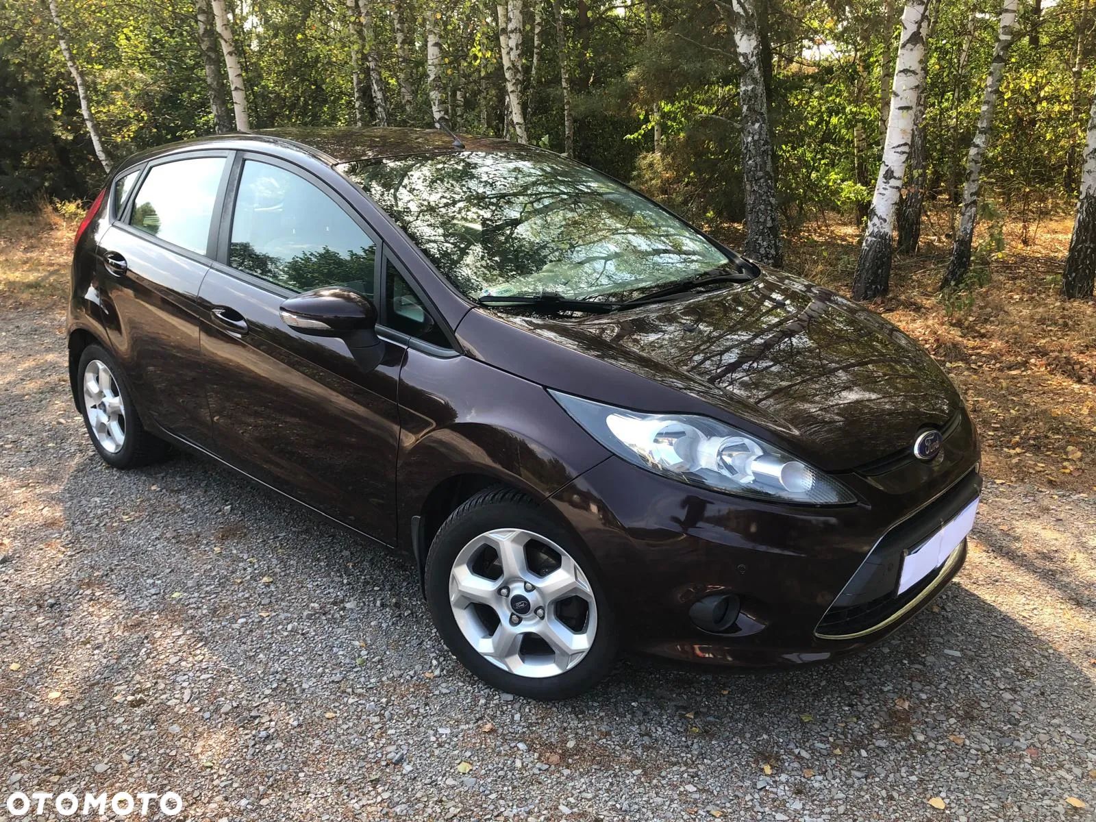 Ford Fiesta 1.25 Gold X EU5 - 1