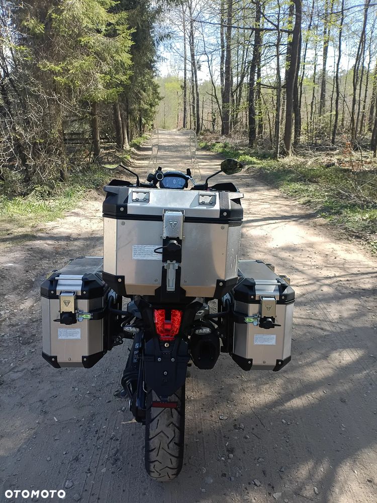 Triumph Tiger - 19
