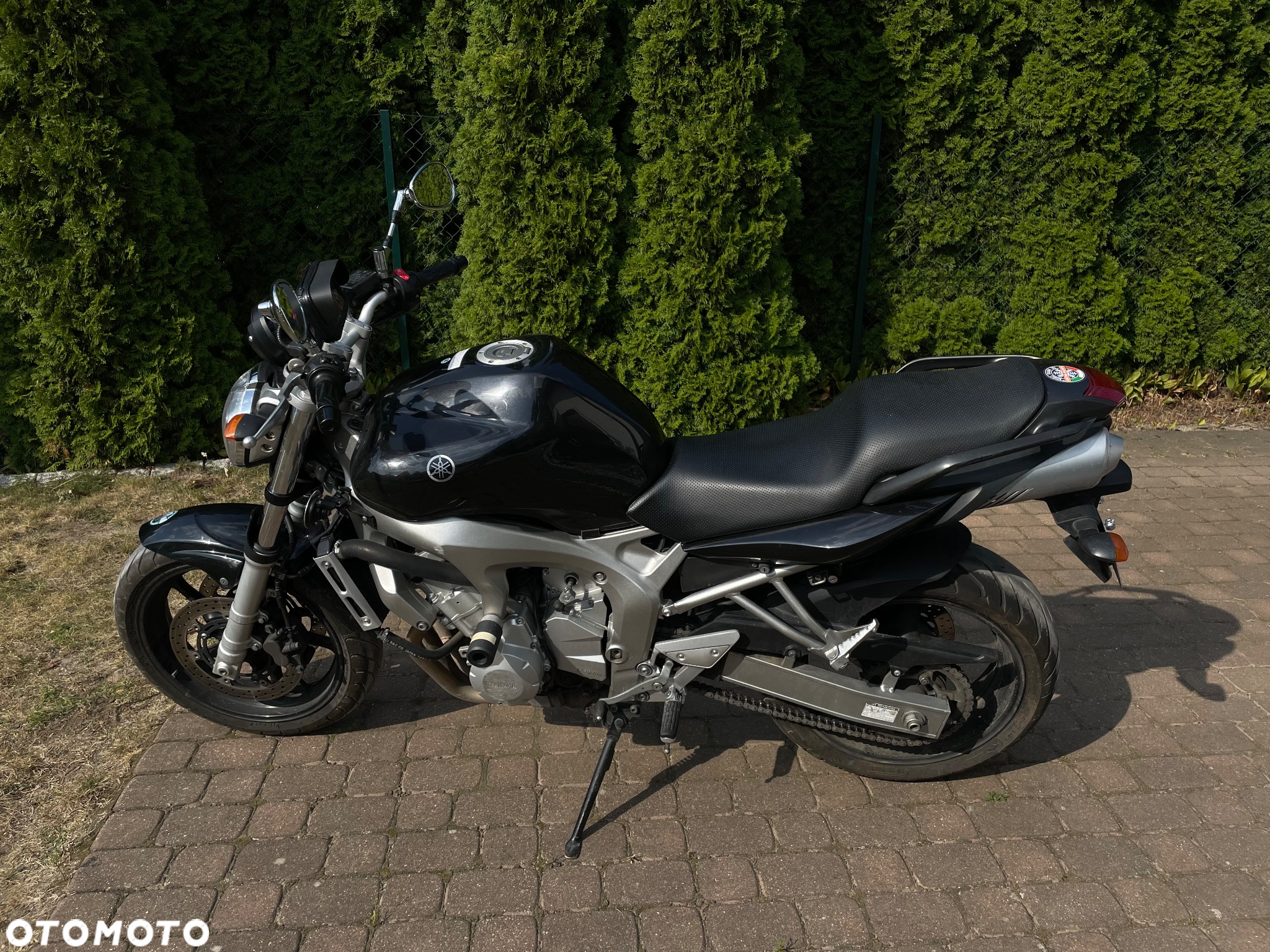 Yamaha FZ6 - 3