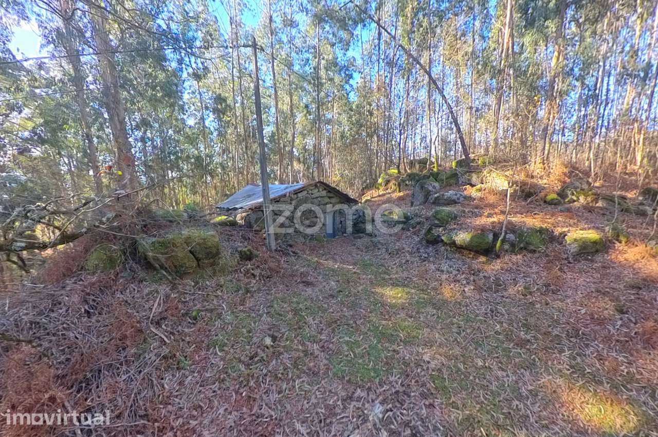 Terreno com Corte de Chão de Castro* - Grande imagem: 2/16