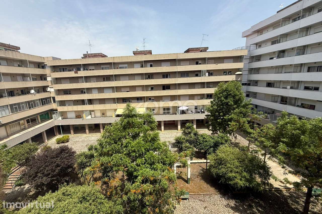 Apartamento T1 | Curia - Grande imagem: 5/11