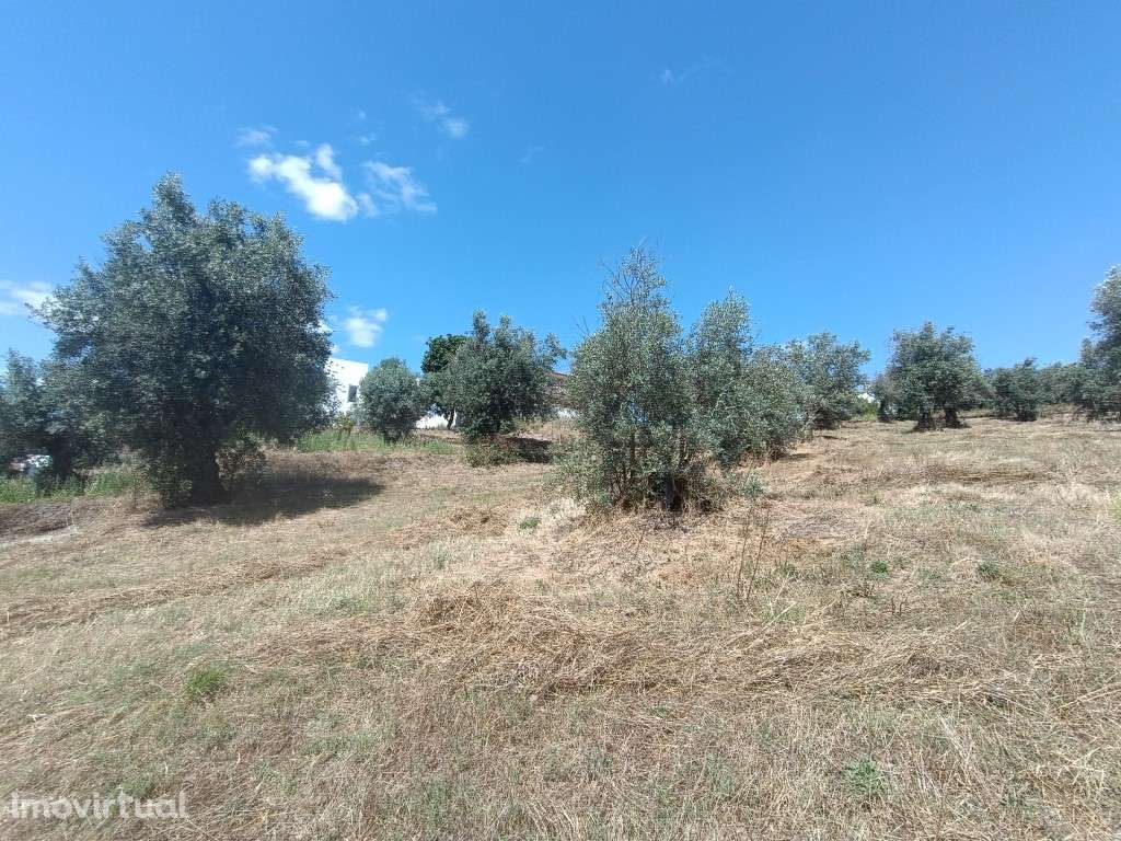 Terreno para construção - Grande imagem: 5/6