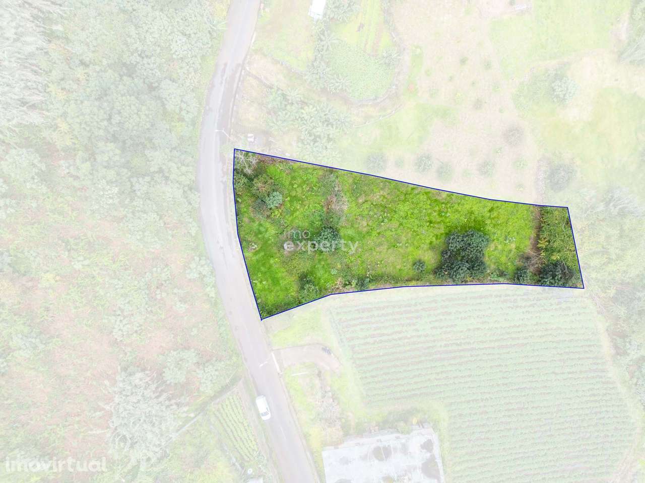 Terreno Rústico em Santana, Madeira - Grande imagem: 4/26