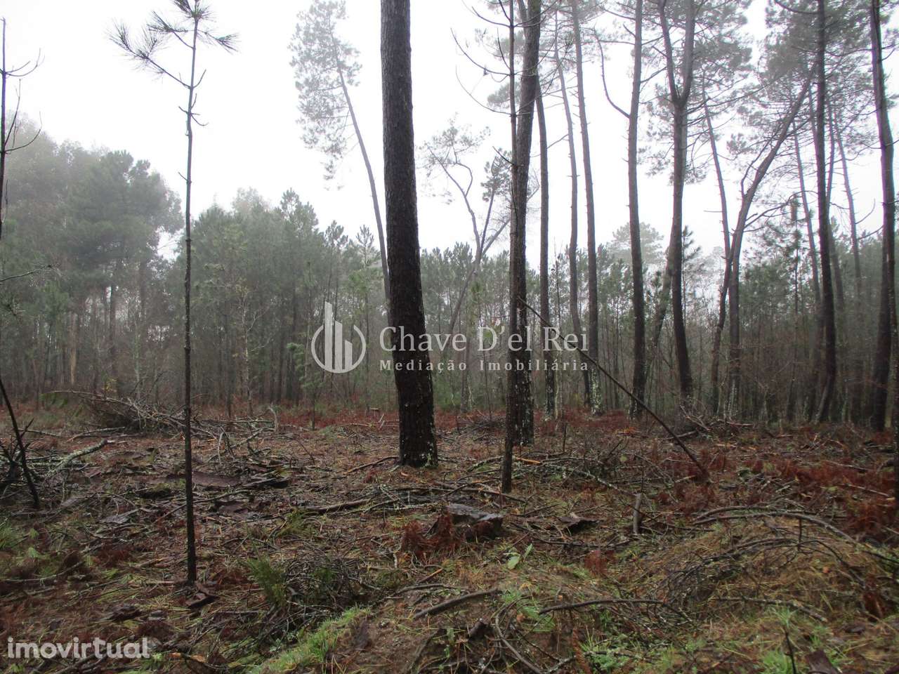 Terreno Para Construção  Venda em Ribafeita,Viseu - Grande imagem: 4/7