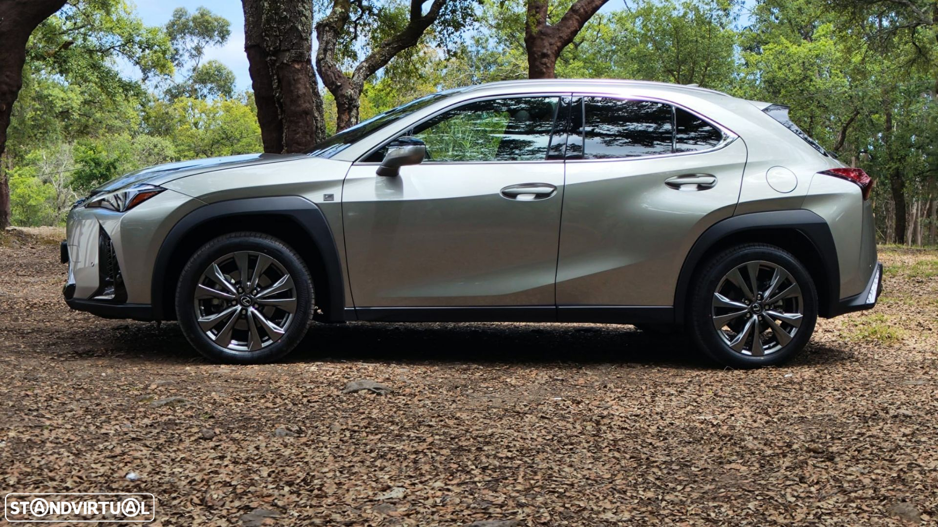Lexus ux-250h Sport - 8