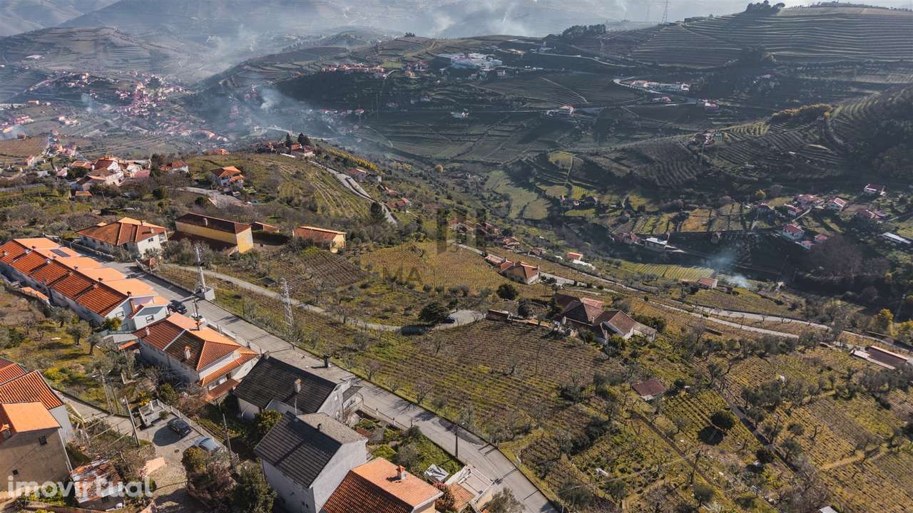 Oportunidade no Douro | Quinta com História | Lamego - Grande imagem: 3/16