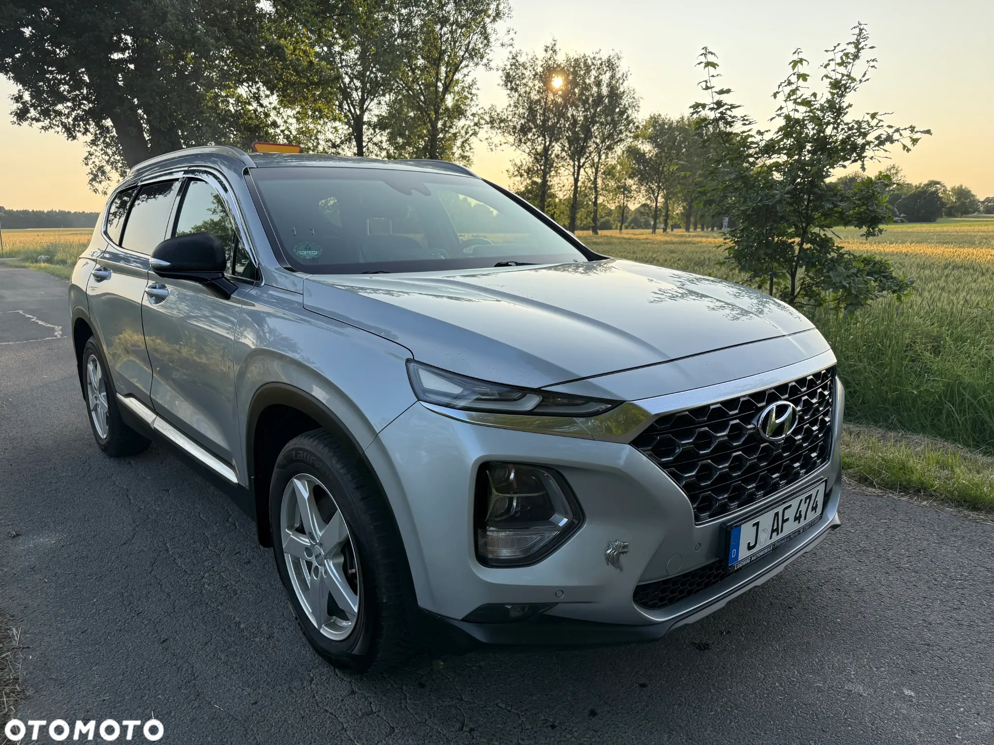Hyundai Santa Fe 2.2 CRDi Platinum 4WD - 16