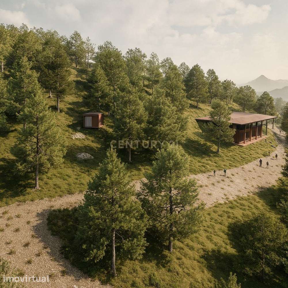 Terreno Rural de 9720 m² em Marco Lobo, Serra D’EL Rei – Ideal para Pr - Grande imagem: 3/12