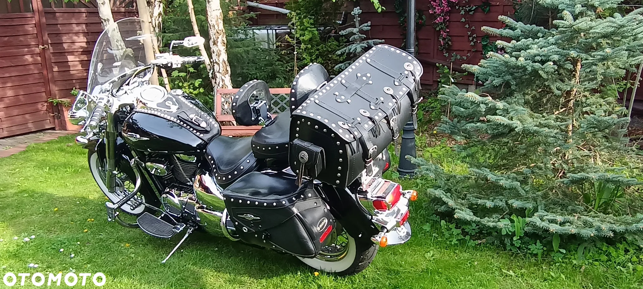 Suzuki VL 800 Volusia - Boulevard C50 - 5