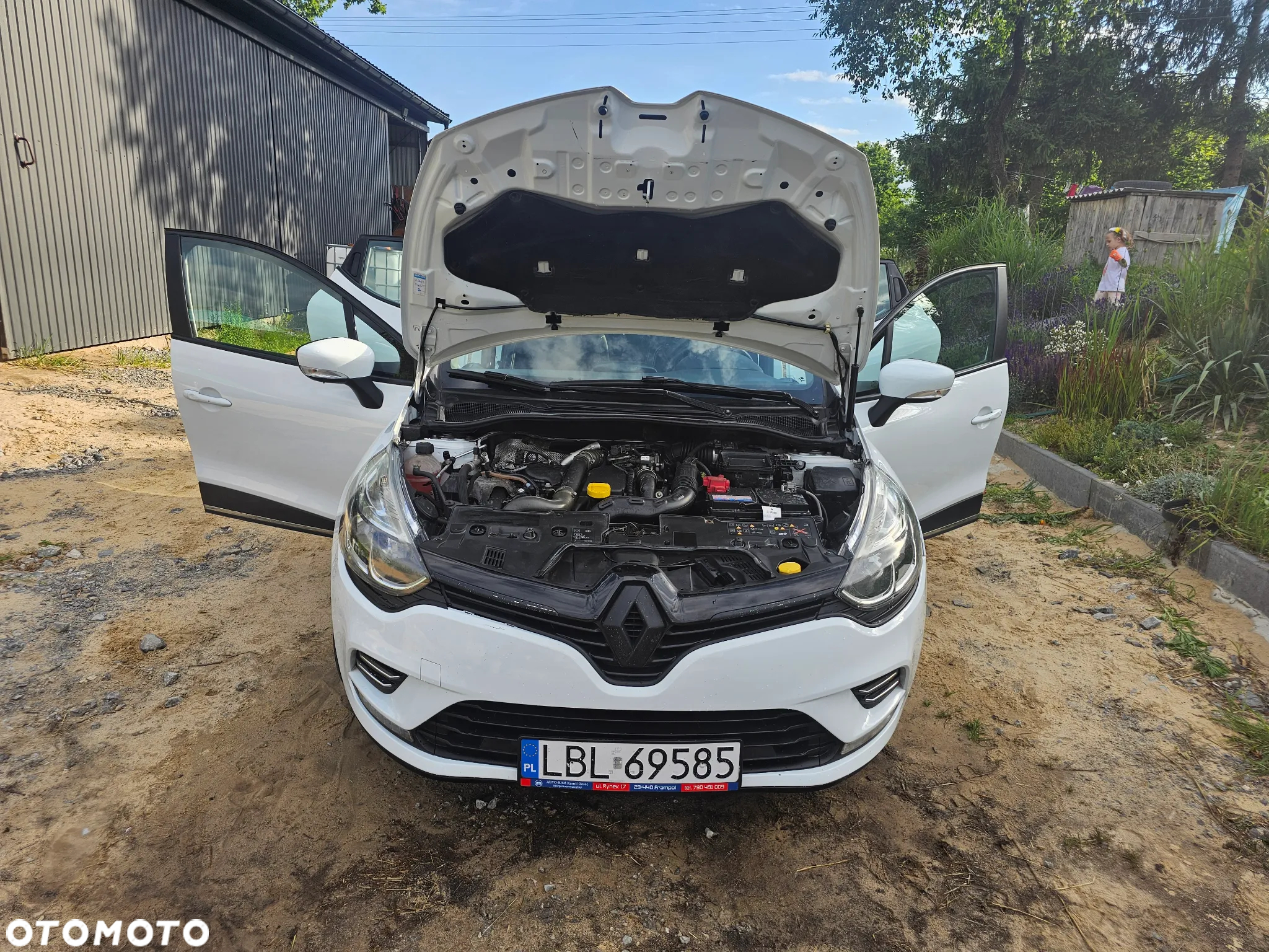 Renault Clio - 19