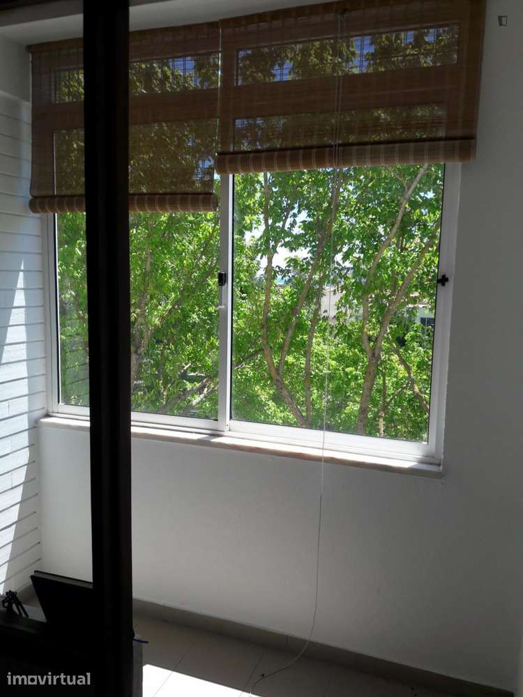 Quarto - localizado em Carcavelos Lisbon - Grande imagem: 5/12