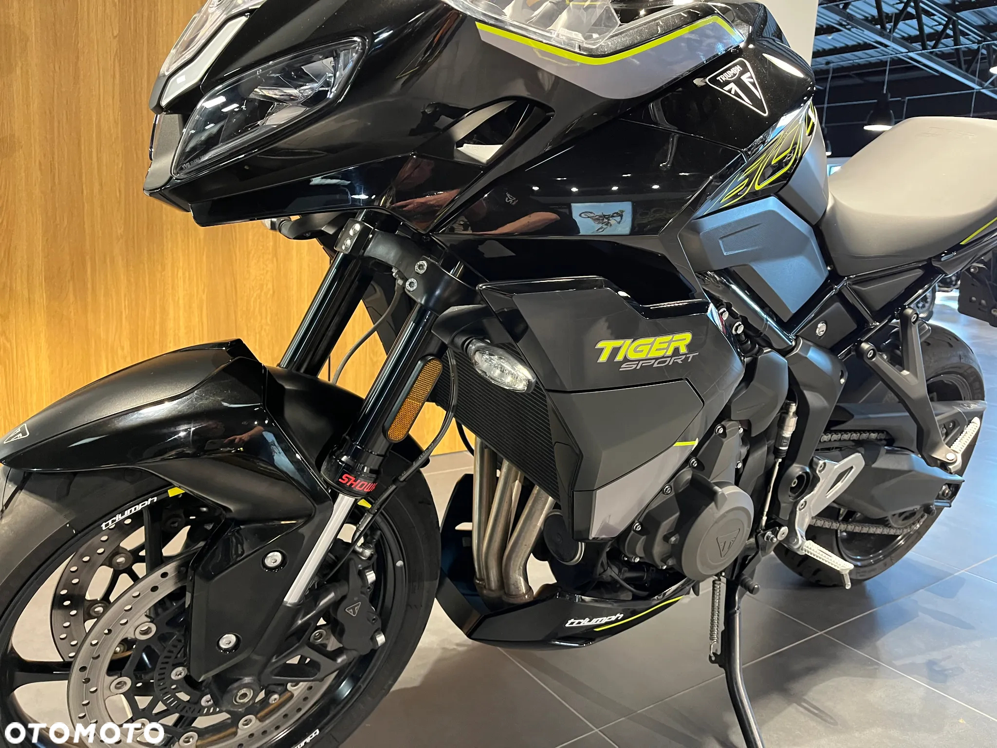 Triumph Tiger - 7