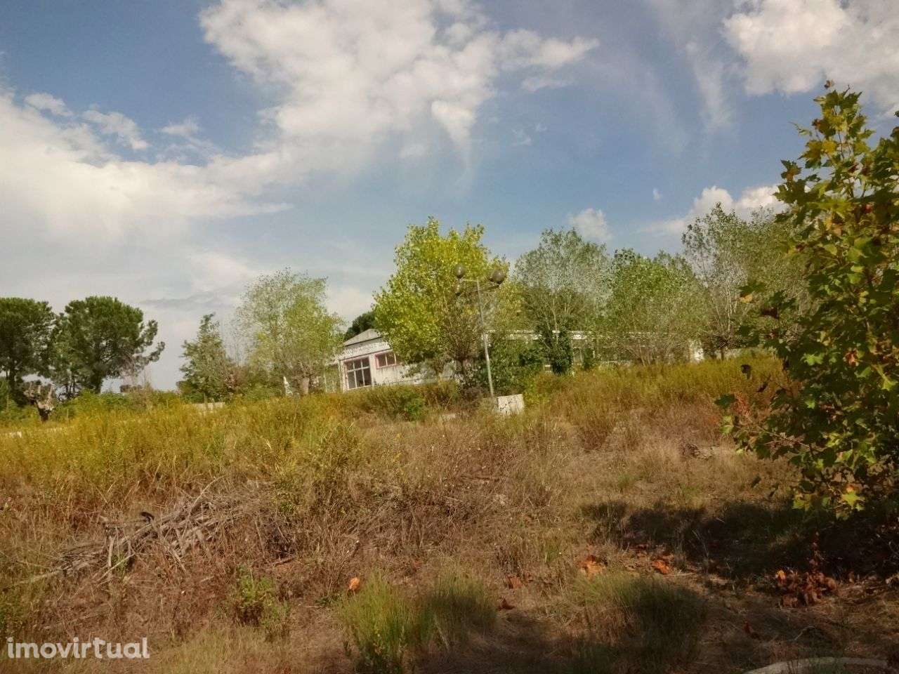 Armazém - Grande imagem: 2/20