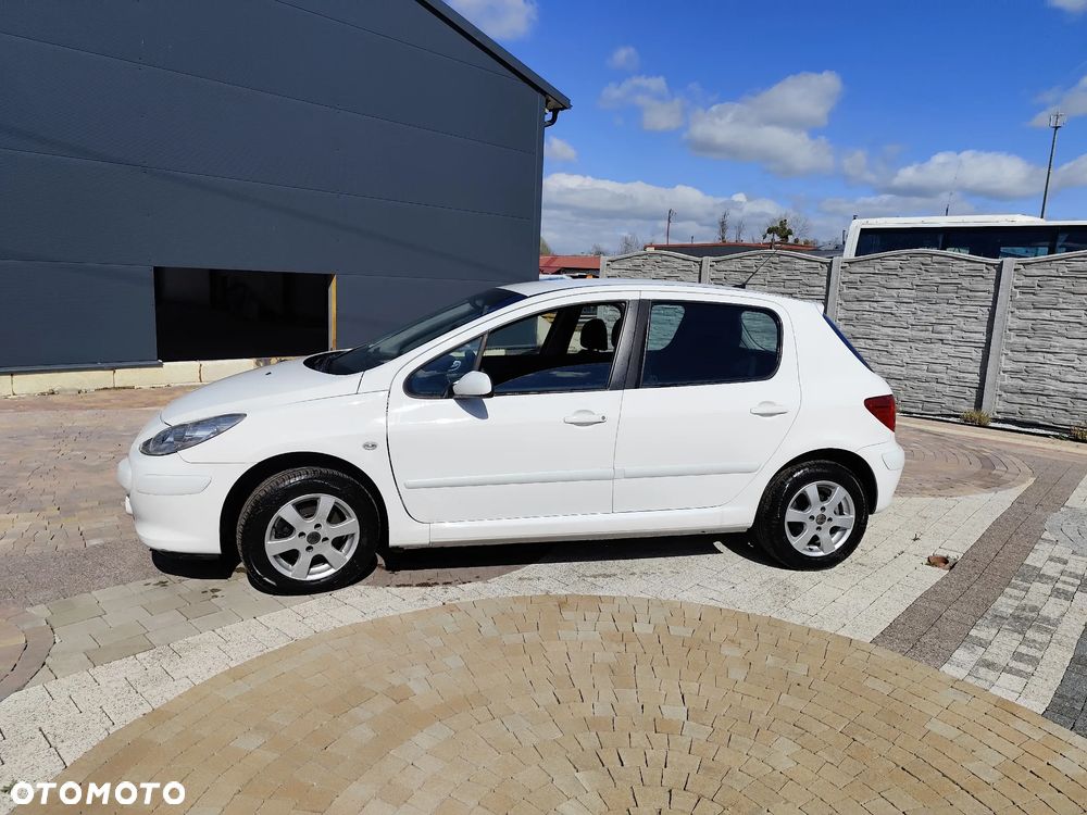 Peugeot 307 1.6 HDI Trendy - 2