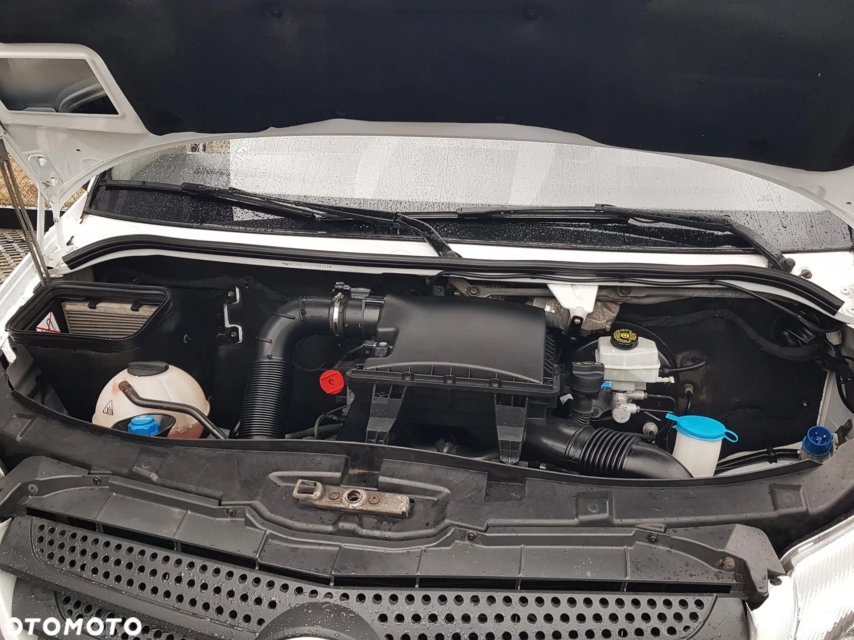 Mercedes-Benz SPRINTER WINDA CHŁODNIA AGREGAT IZOTERMA DŁUGI WYSOKI KLIMA - 14