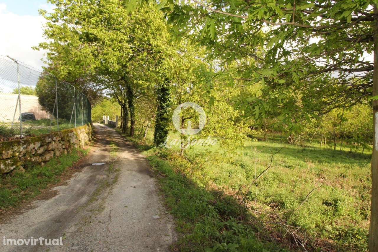 Terreno Moreira do Rei Fafe - Grande imagem: 3/11